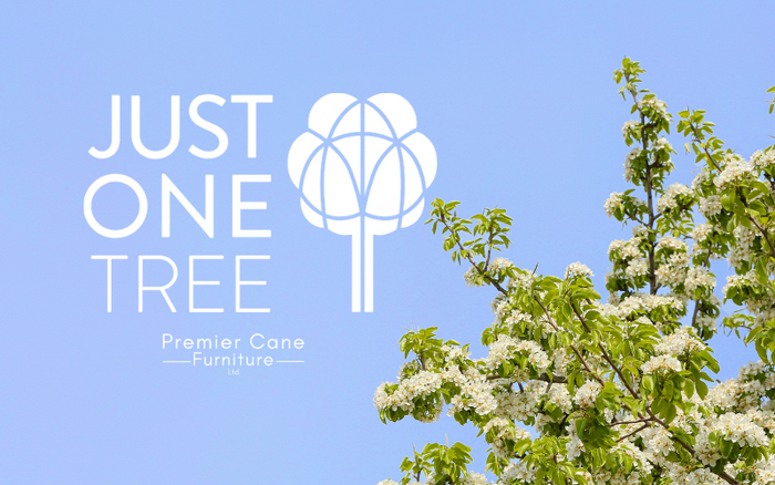 Our Better Future Tree Promise
