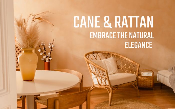 Embrace Natural Elegance with Cane and Rattan Furniture