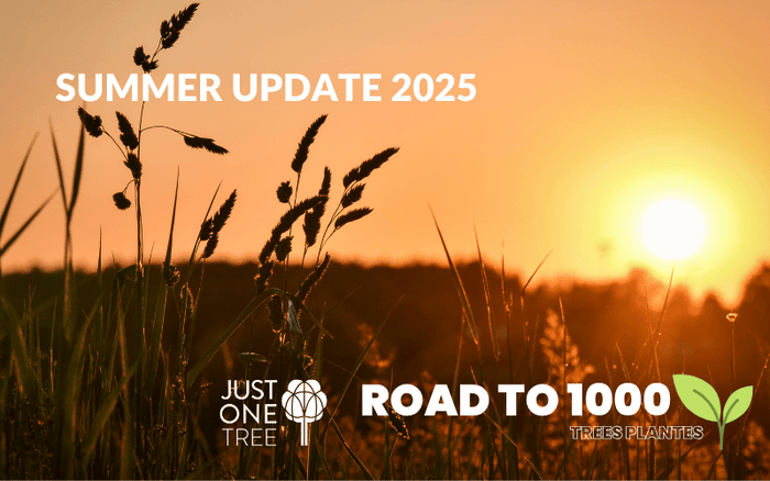 Summer 2025 Update