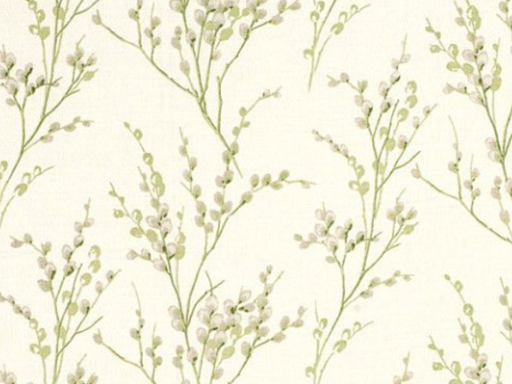 pussy willow hedgerow