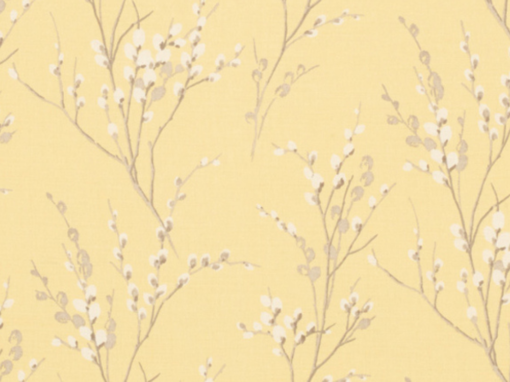 pussy willow camomile