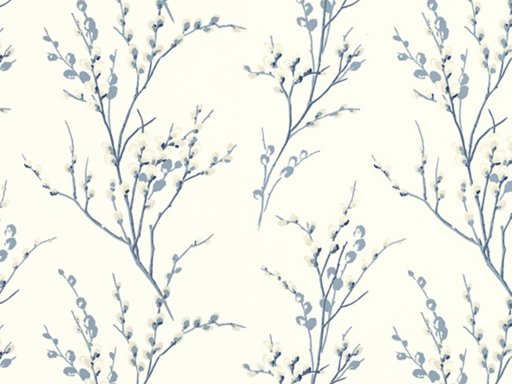 pussy willow seaspray