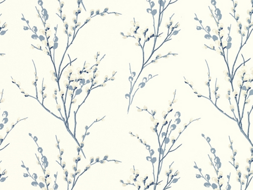 pussy willow seaspray
