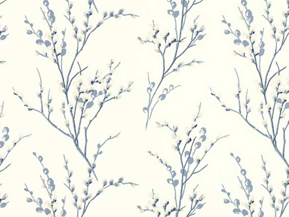 pussy willow seaspray
