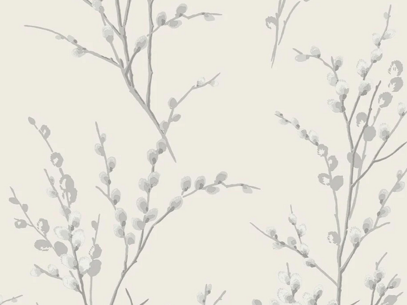 pussy willow steel