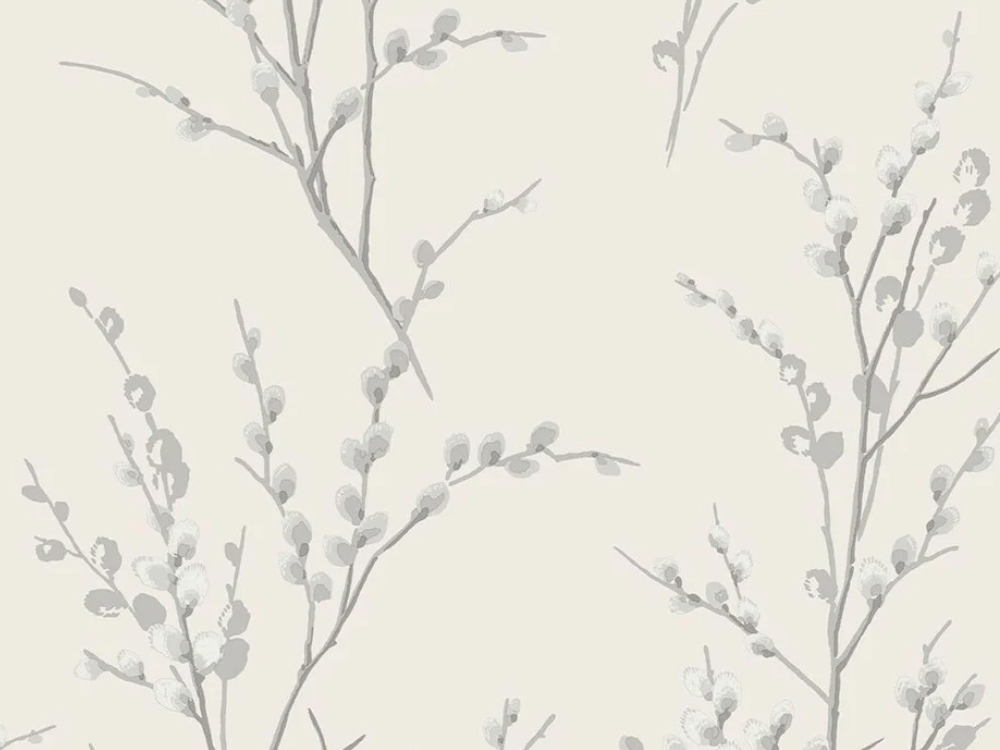 pussy willow steel