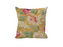 alys ochre scatter
